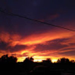 Meet your Posher, Dee dee